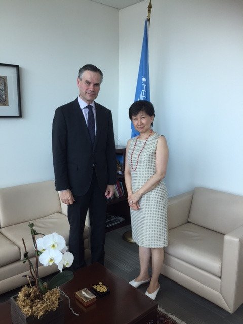 Meeting with with High Representative for Disarmament Affairs Izumi Nakamitsu, New York (12 June 2017)